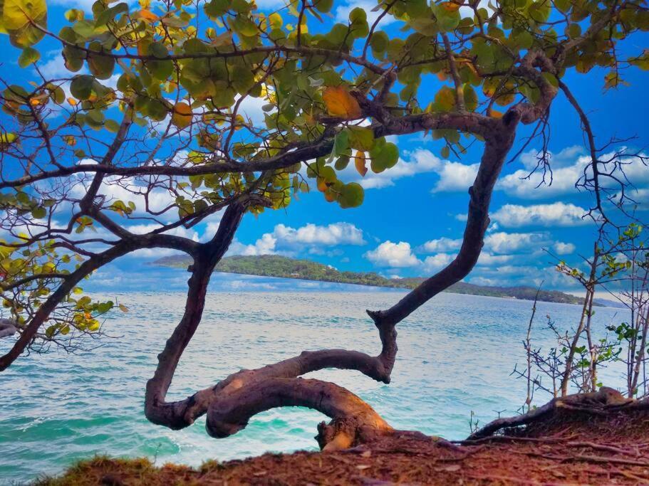 Poetry Garden Bocas Town Colon Island Villa Екстериор снимка