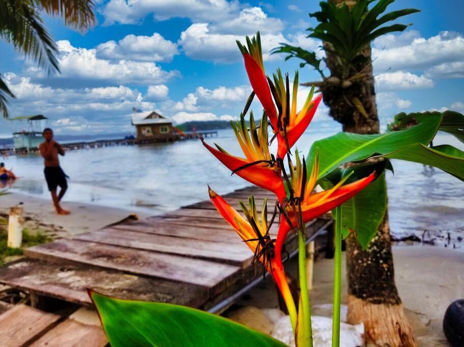 Poetry Garden Bocas Town Colon Island Villa Екстериор снимка