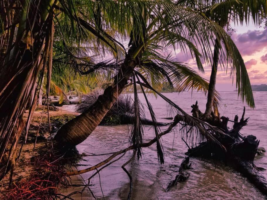 Poetry Garden Bocas Town Colon Island Villa Екстериор снимка